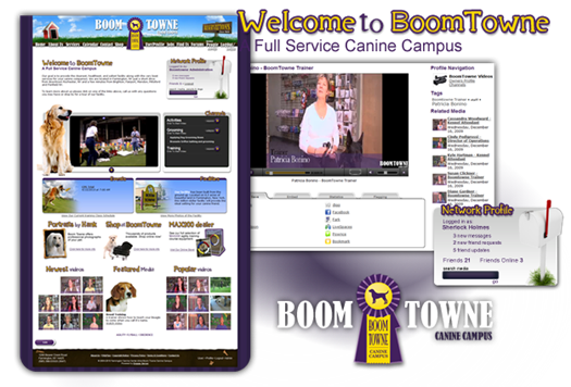 Boomtowne